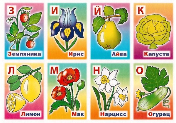 Азбука растений и цветов