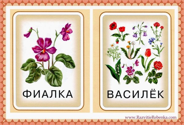 Цветы карточки для детей
