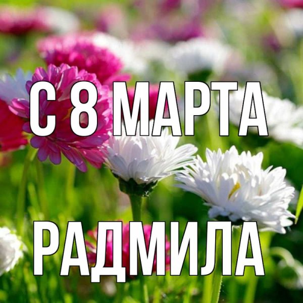 Цветы для Наташи