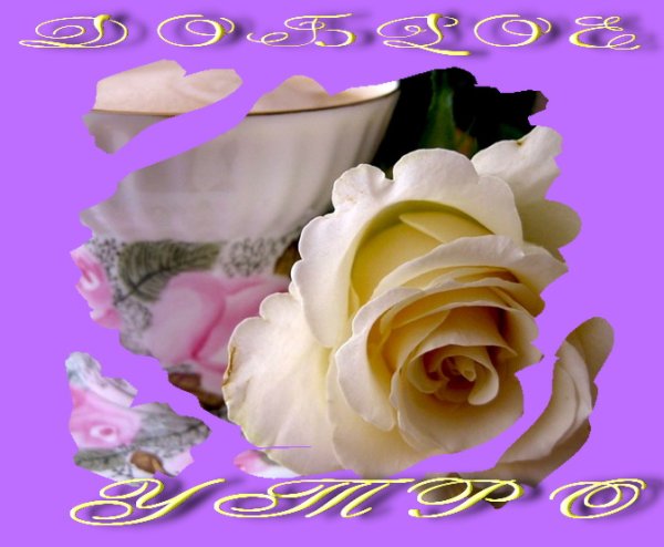 Букет для самой красивой девушки