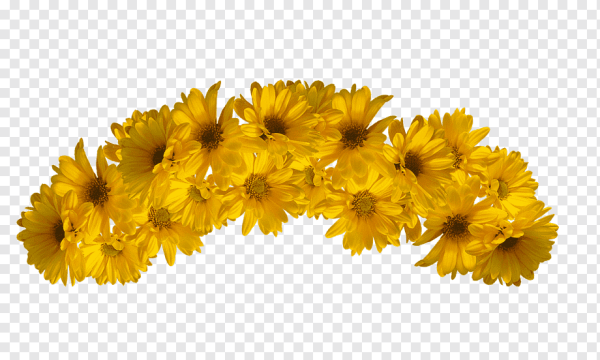 Венок из желтых цветов
