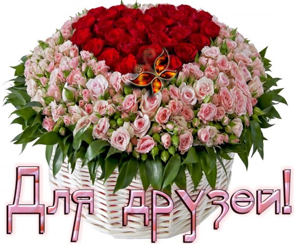 Букет цветов для друзей