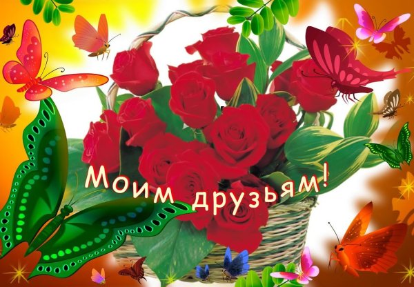 Красивые цветы для друзей