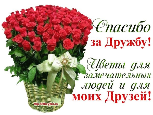 Спасибо за дружбу