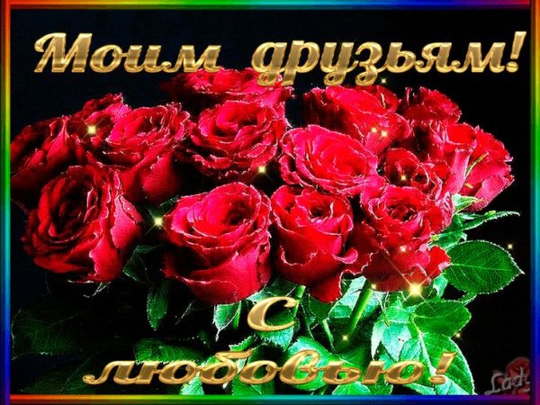 Красивые цветы моим друзьям