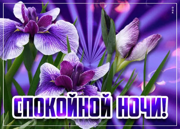 Открытки спокойной ночи с цветами