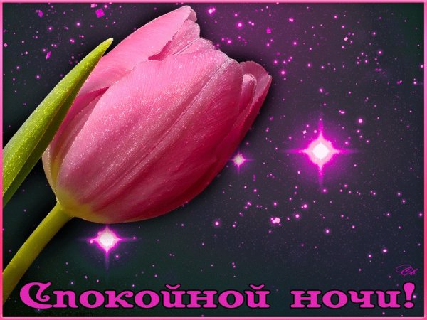 Цветы с пожеланием спокойной ночи женщине