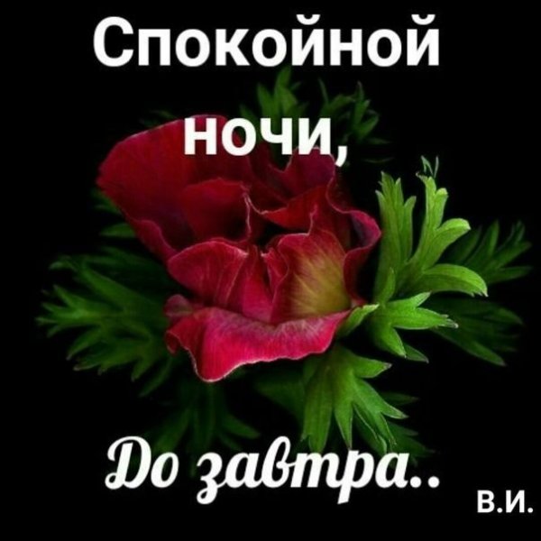 Спокойной ночи женщине цветы