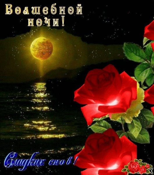 Букет цветов спокойной ночи
