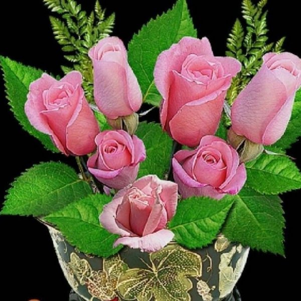 Цветы для Марины