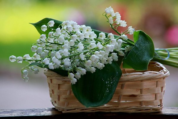 Ландыши в вазе