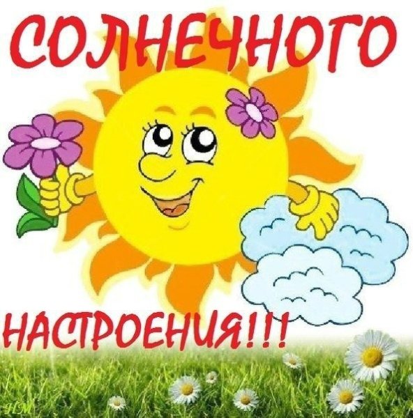 Солнце с цветами вектор