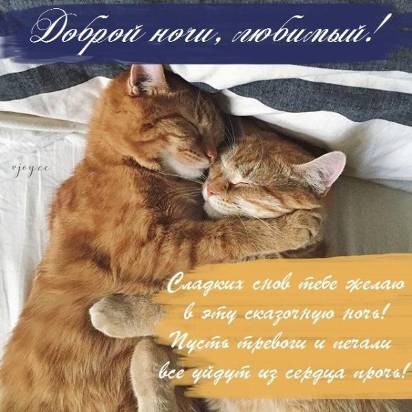 Спокойной ночи Маришка