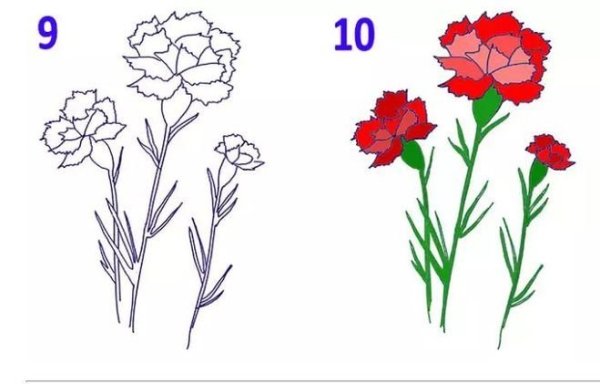 23 Февраля гвоздики