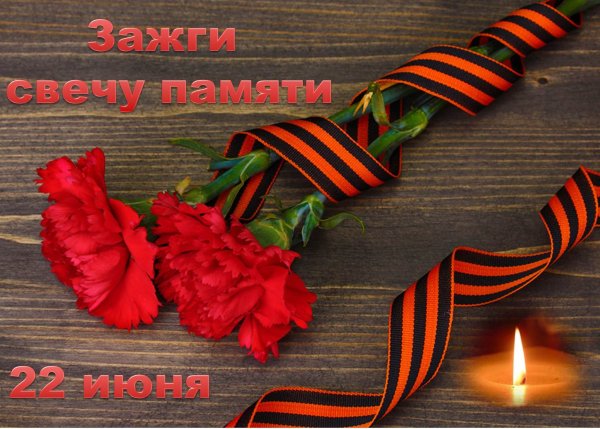 Нарциссы 9 мая