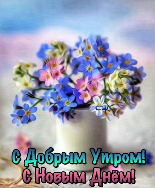 Букет из незабудок: на телебашне в Челябинске зажгут световую открытку в День матери
