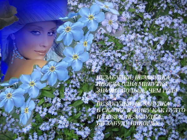 Незабудки с пожеланиями
