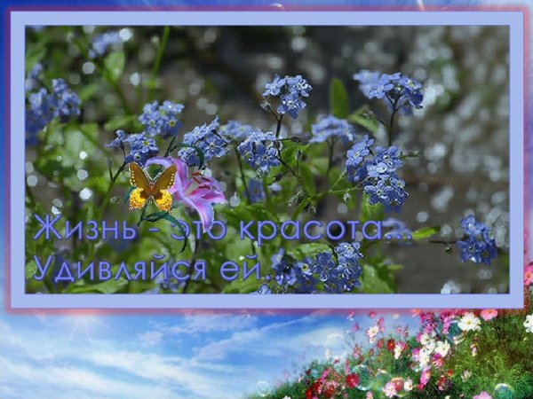 Букет незабудок гифки