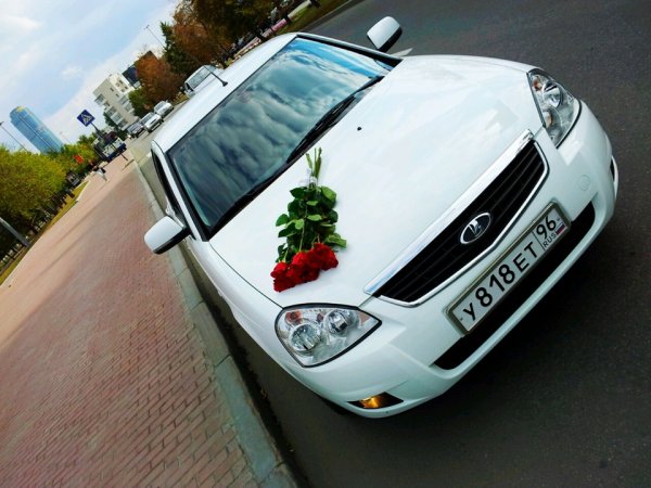 Цветы в багажнике машины