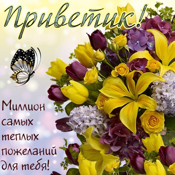 Пожелания на день