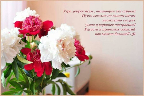 С добрым утром с цветами и пожеланиями