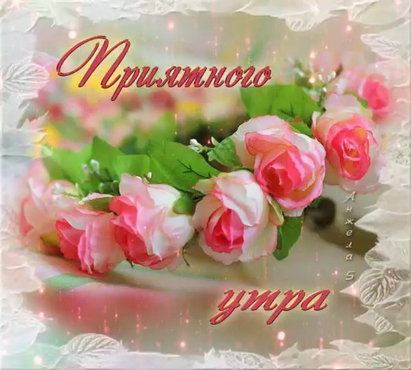 Приятного утра и доброго дня