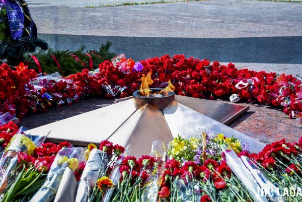 Вечный огонь Ржев цветы