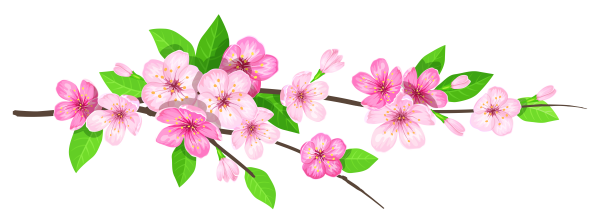 Цветы яблони для детей