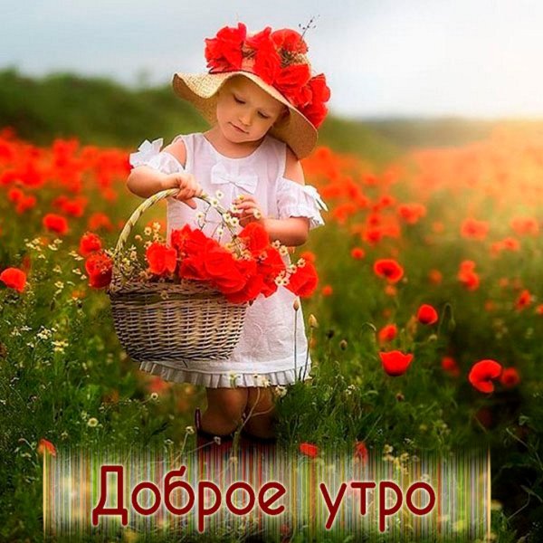 Утро лето дети