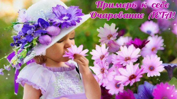 Лето красивые дети