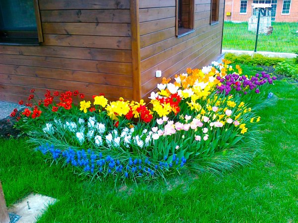Круглые цветочные клумбы