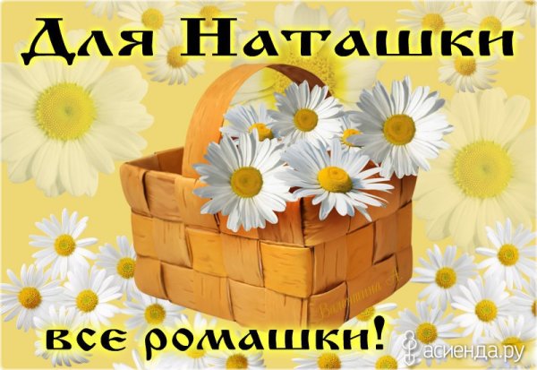 Ромашки для Наташки