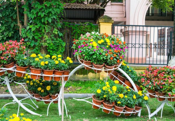Цветники и клумбы