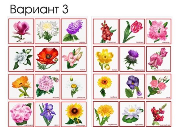 Наклейки на шкафчики для детского сада растения