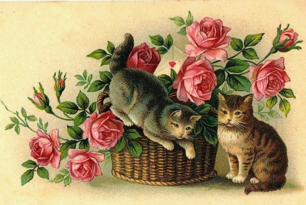 Открытки с котятами