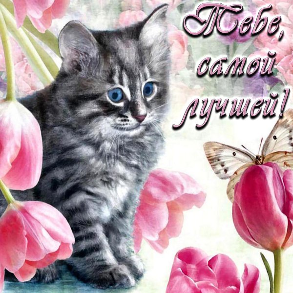 Алексей Долотов художник