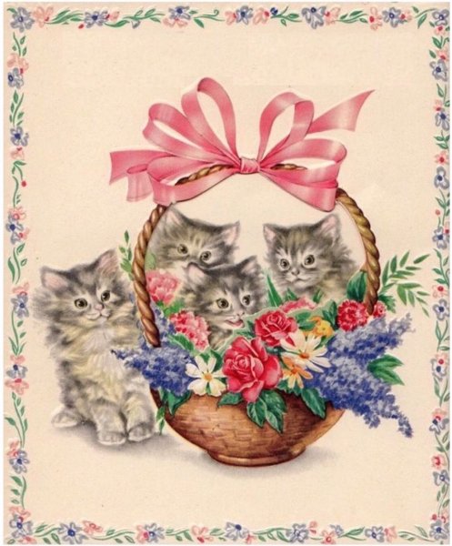 С днём рождения с котиками