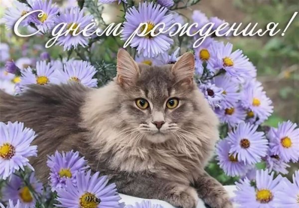 Открытки Винтаж
