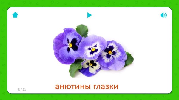 Картинки цветов для детей с названиями