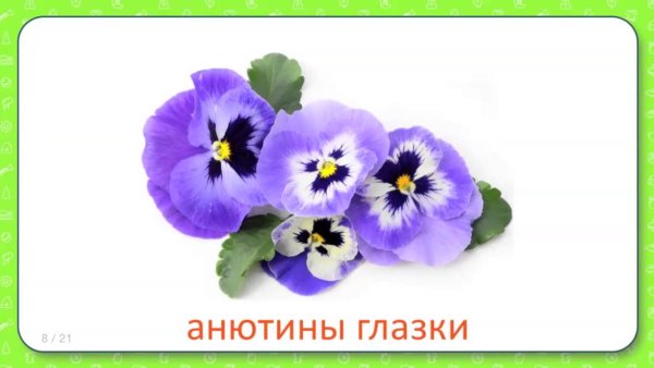 Карточки с анютиными глазками