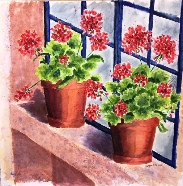 Рисование комнатные растения