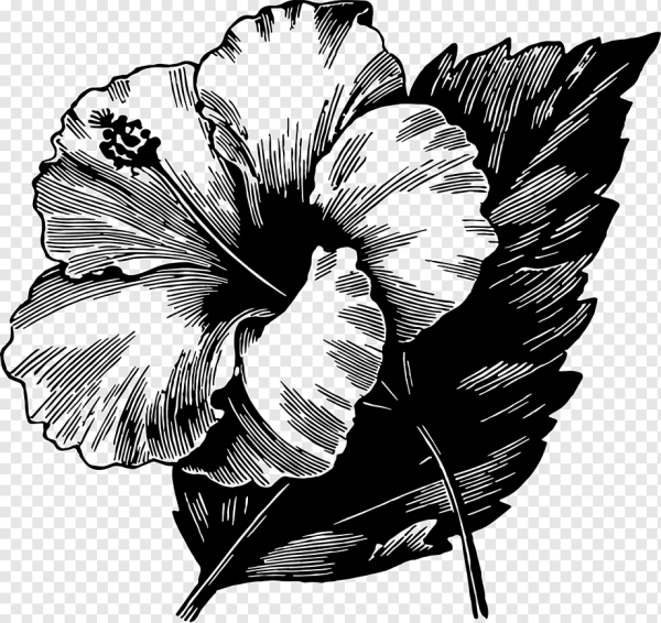 Гибискус dotwork