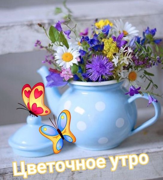 С добрым утром летние цветы