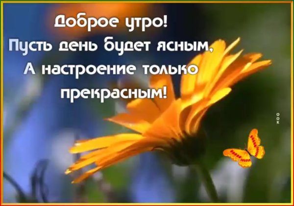 С добрым утром со смыслом