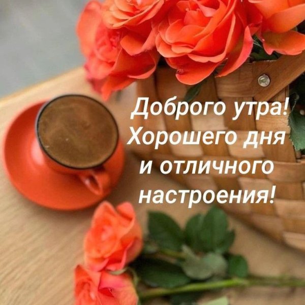 Лаванда фон