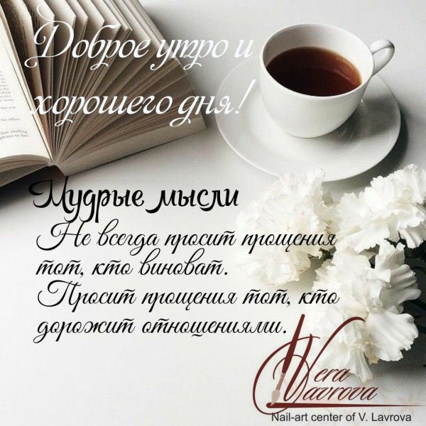 Цитаты про ромашки