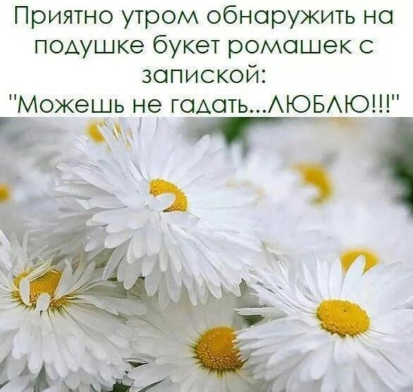 Пожелание с добрым утром в цветах