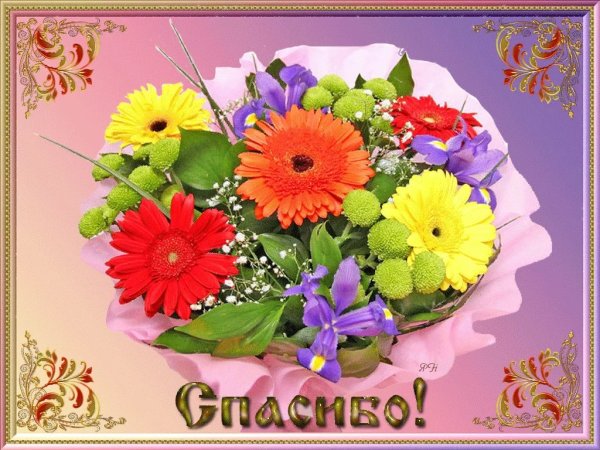 Благодарственные открытки