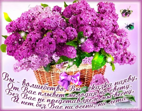 Открытки с днём рождения женщине с сиренью