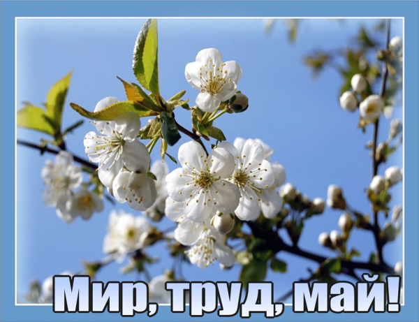Поздравление с 1 мая